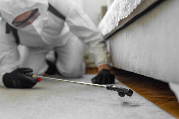 Professional Bed Bug Control technician working in Coupeville, WA