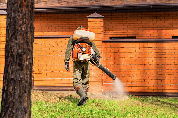 Trusted Termite Control service in Coupeville, WA - Nex Pest Control